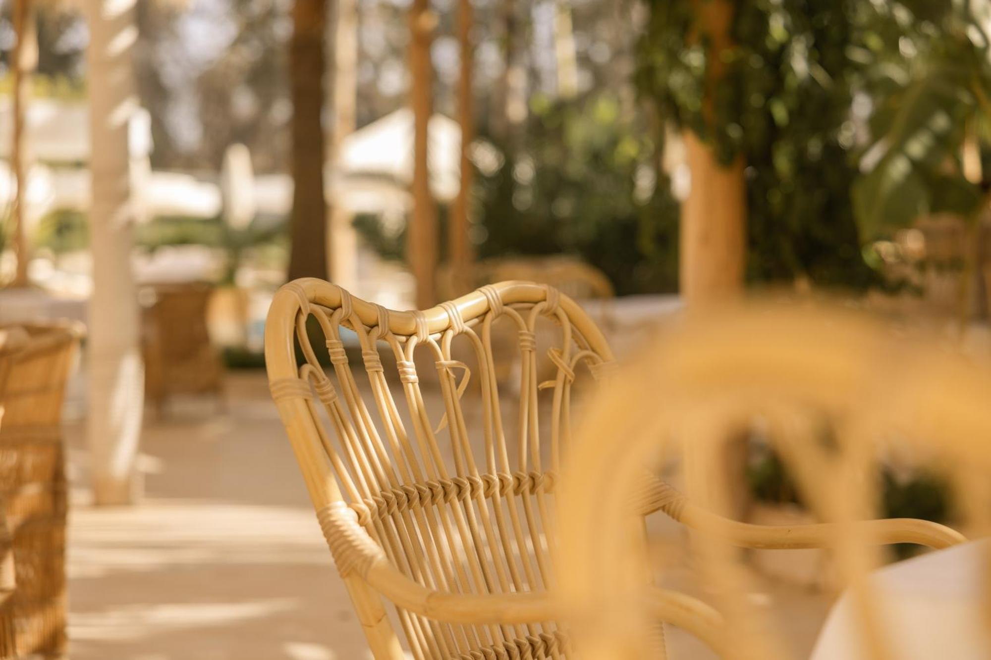 Les Palmiers Boutique Hotel & Spa 马拉喀什 外观 照片