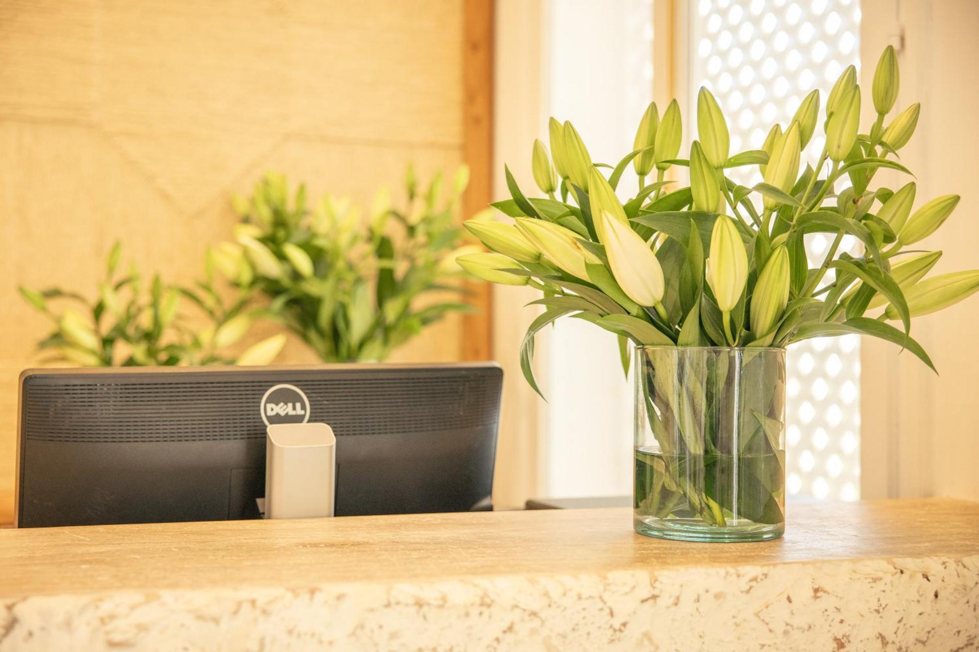 Les Palmiers Boutique Hotel & Spa 马拉喀什 外观 照片