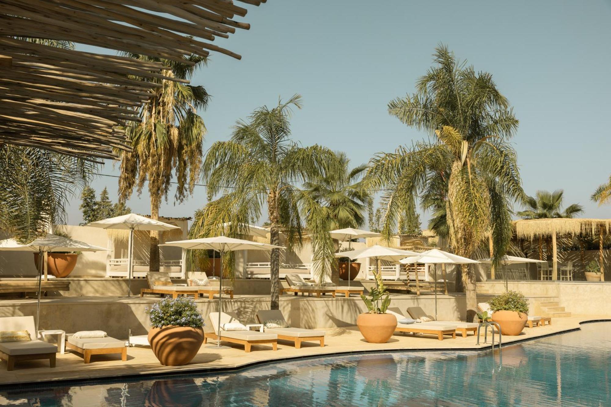 Les Palmiers Boutique Hotel & Spa 马拉喀什 外观 照片